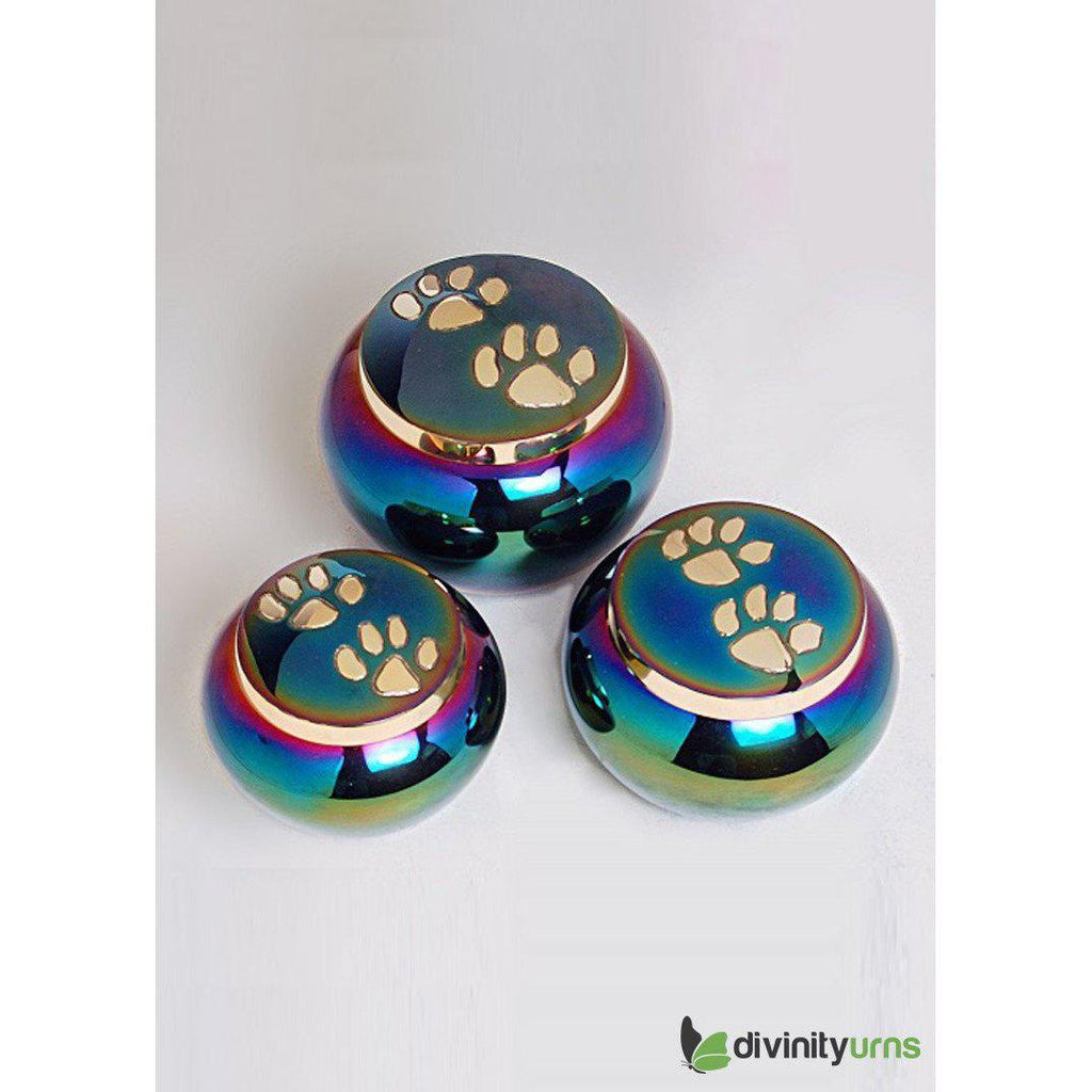 Buddy Rainbow Pet Cremation Urn - Large -  product_seo_description -  Dog Urn -  Divinity Urns.
