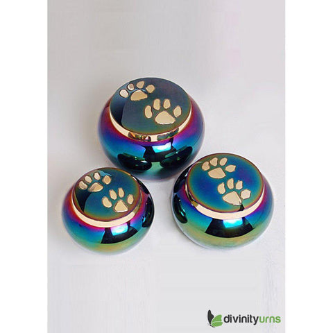 Buddy Rainbow Pet Cremation Urn- Medium -  product_seo_description -  Dog Urn -  Divinity Urns.